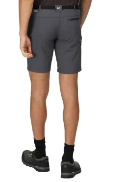 Regatta Bermudas Xert Stretch Iii Cinza Sale