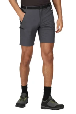Regatta Bermudas Xert Stretch Iii Cinza Sale
