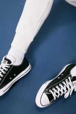 Springfield Calcas De Treino Basicas Cinza New