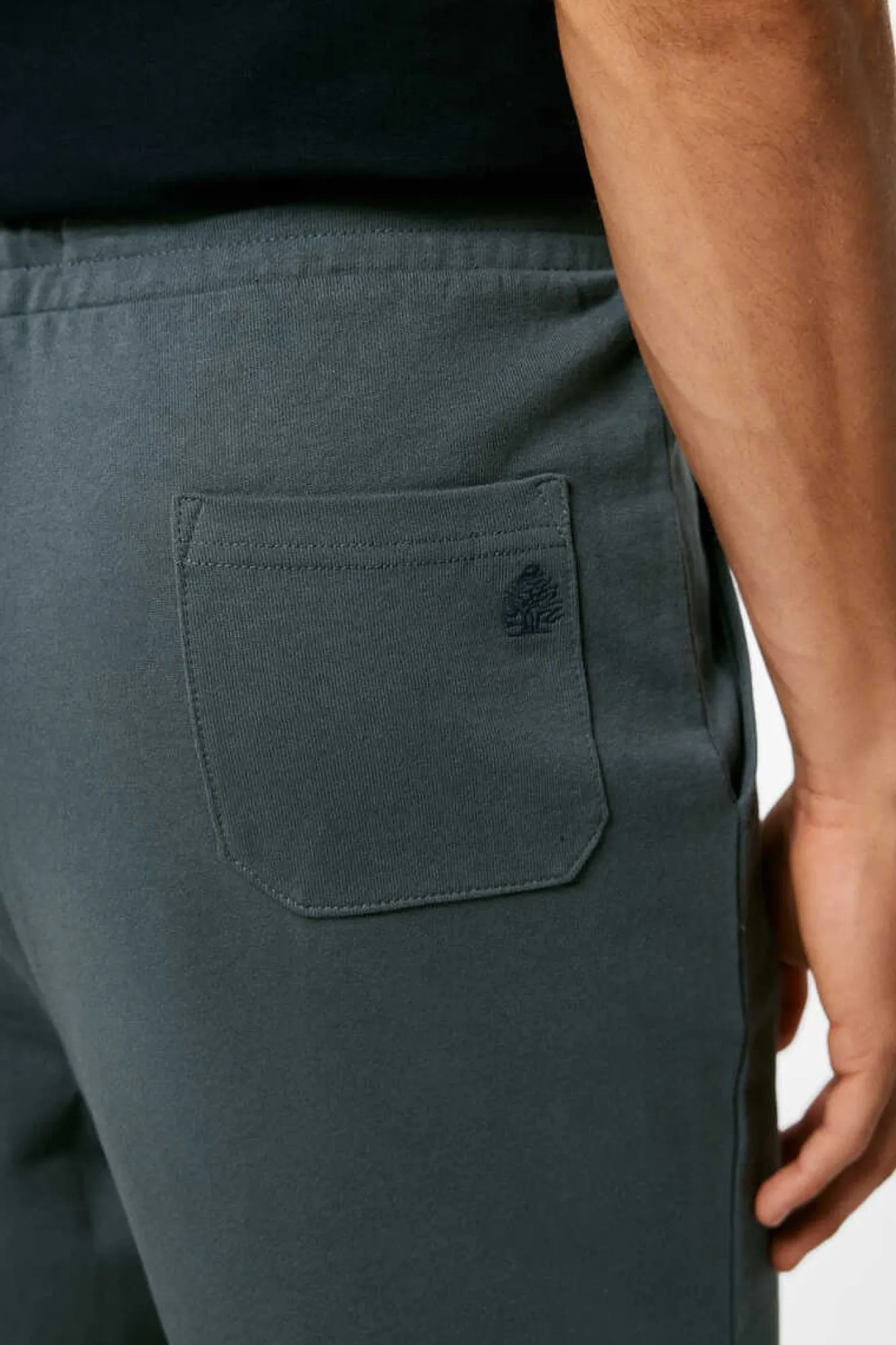 Springfield Calcas Jogger Acqua Online