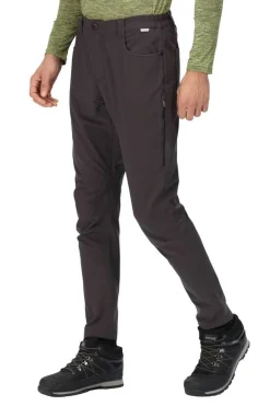 Regatta Calcas Kennick Cinza New