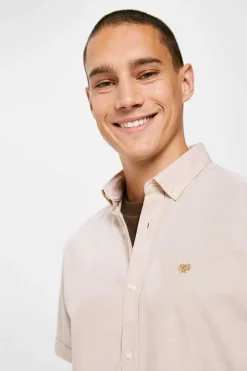 Springfield Camisa Pinpoint Camel Online