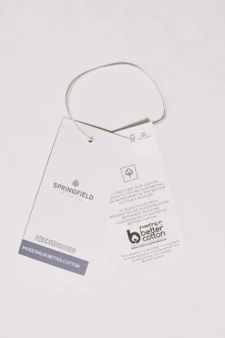 Springfield Camisa Pinpoint Azulado Hot