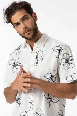 Tiffosi Camisa Regular Fit Popelina Estampada Camel Hot