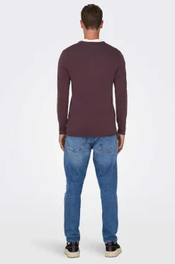 Only & Sons Camisola Gola Redonda Castanho Best