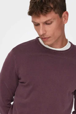 Only & Sons Camisola Gola Redonda Castanho Best