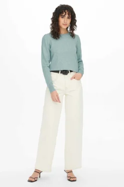 JDY Sueteres E Cardigans-Camisola Malha Fina Gola Redonda