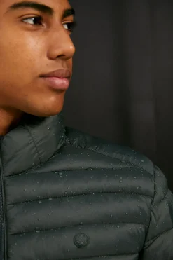 Springfield Casaco Acolchoado Verde Escuro Hot