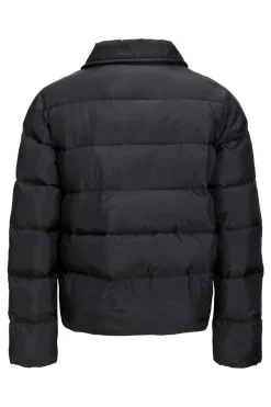 Jack & Jones Sobretudos E Parkas-Casaco Acolchoado