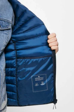 Springfield Casaco Acolchoado Azul Outlet