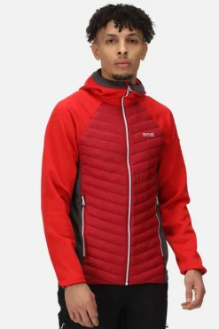 Regatta Casaco Acolchoado Anderson Vii Vermelho Real Clearance