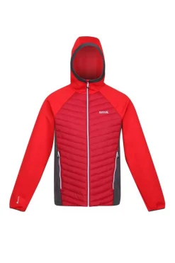 Regatta Casaco Acolchoado Anderson Vii Vermelho Real Clearance