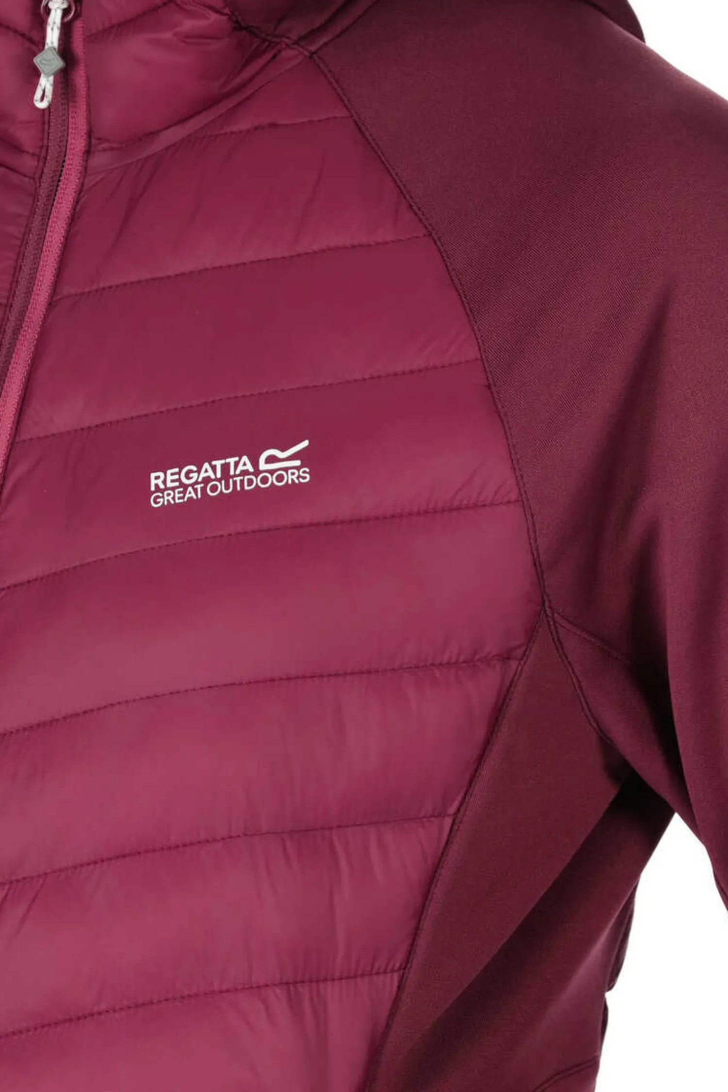 Regatta Outdoor-Casaco Anderson Vii