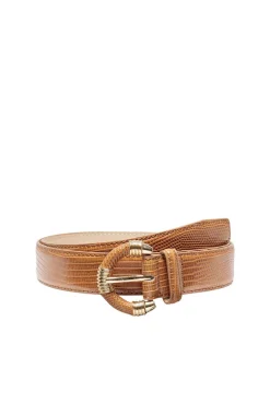 Only Cintos-Cinto Gravacao Animal