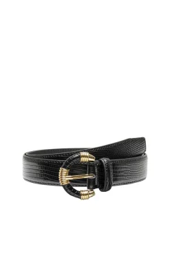 Only Cintos-Cinto Gravacao Animal