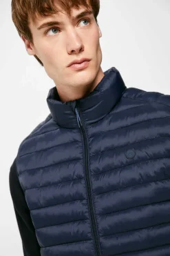 Springfield Colete Acolchoado Azul Online