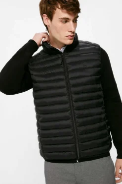 Springfield Colete Acolchoado Preto Outlet