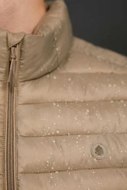 Springfield Colete Acolchoado Brown Sale