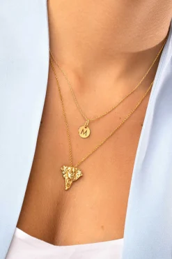 Singularu Bijuteria-Collar Everything Plata Bano Oro