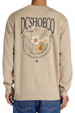 DC Shoes Concreteotlr Thz0 Camel Hot