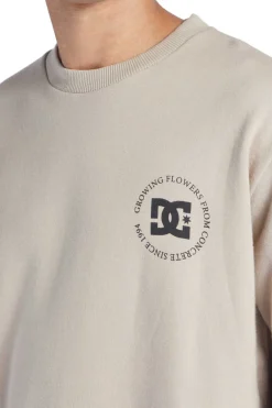 DC Shoes Concreteotlr Thz0 Camel Hot