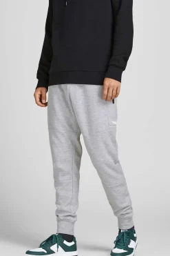 Jack & Jones Joggers Slim Fit Cinzento Clearance