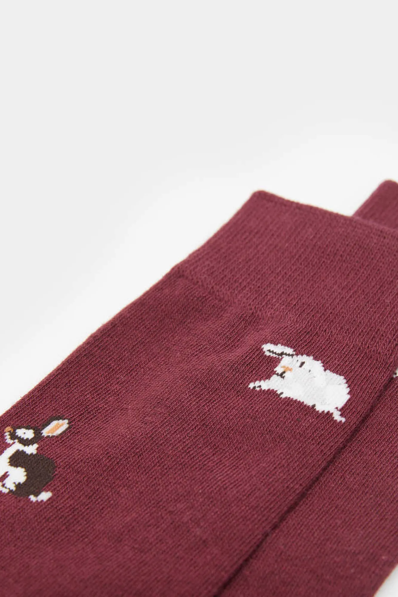 Springfield Meia Coelhos Vermelho Real Clearance