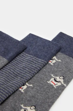 Springfield Pack 3 Meias Sumos Cinza Best