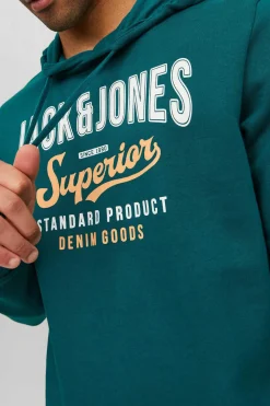 Jack & Jones Sweatshirt Com Capuz Verde Online