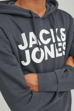 Jack & Jones Sweatshirt Com Capuz Logo Azulado Hot