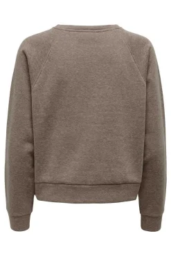 Only Sweatshirts-Sweatshirt Gola Redonda