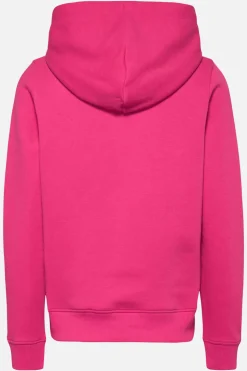 Tommy Jeans Sweatshirts-Sweatshirt Com Logo Linear