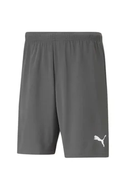 Puma Teamrise Short Cinza Clearance