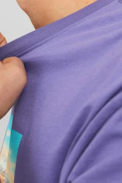Jack & Jones T-Shirt De Manga Curta Print Foto Roxo Hot