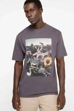 Springfield T-Shirt Estampada Fotografica Mix Cinza Best