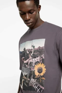 Springfield T-Shirt Estampada Fotografica Mix Cinza Best