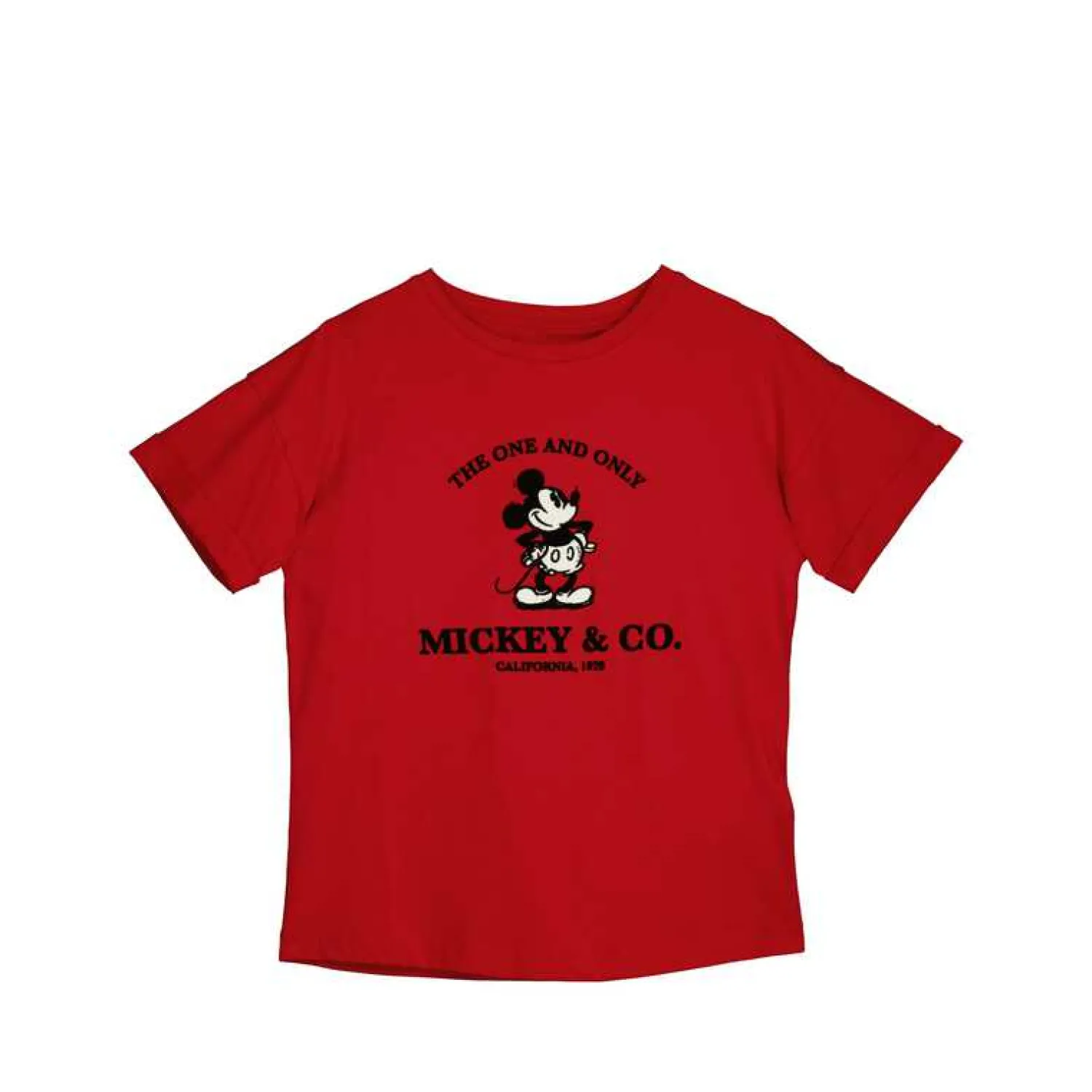 Springfield Licencas-T-Shirt "Mickey & Co"